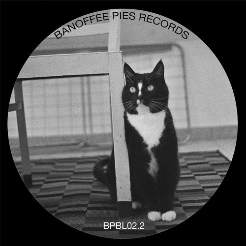 image cover: Jay Anderson, S II P, Peshka - Black Label 02.2 / Banoffee Pies Records