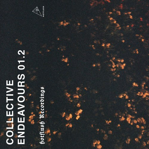 image cover: VA - Collective Endeavours 01.2 / Hotflush Recordings