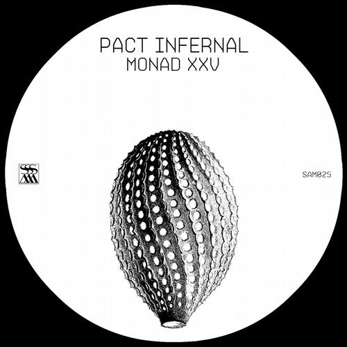 image cover: Pact Infernal - Monad XXV / Stroboscopic Artefacts