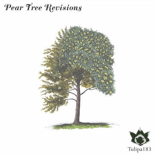 image cover: VA - Pear Tree Revisions / Tulipa Recordings