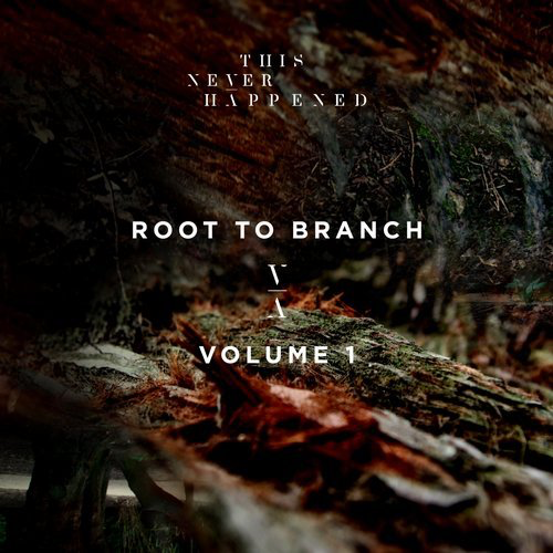 image cover: VA - Root To Branch, Vol. 1 / This Never Happened
