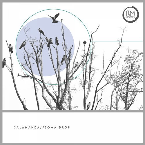 image cover: Salamanda - Soma Drop / Lapsus Music