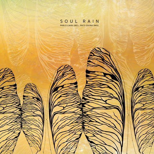 image cover: Pablo Cahn - Soul Rain / Cadenza