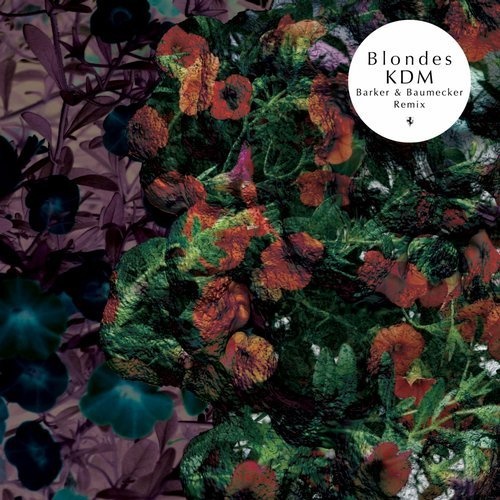 image cover: AIFF: Blondes - KDM (Barker & Baumecker Remix) / R&S Records