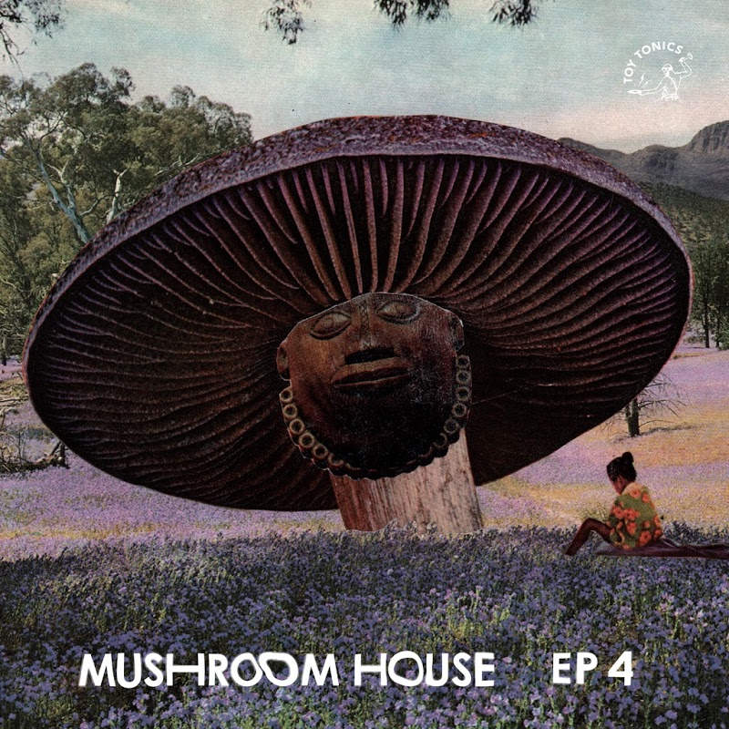 image cover: VA - Mushroom House EP4 / Toy Tonics