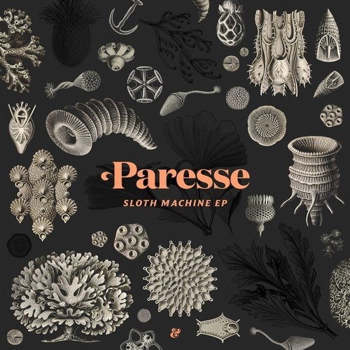 image cover: Paresse - Sloth Machine EP / Eskimo Recordings