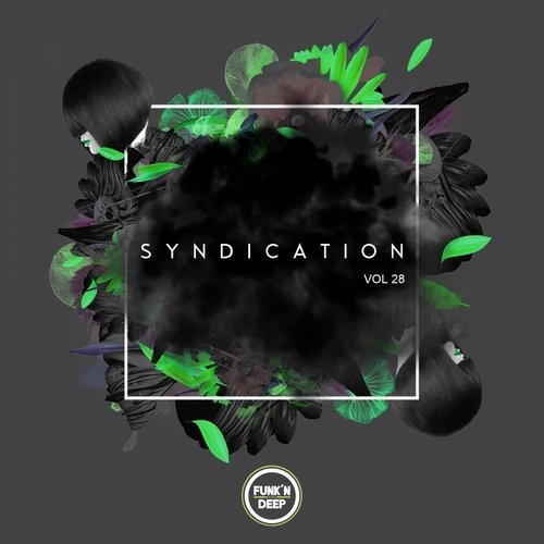 image cover: VA - Syndication, Vol. 28 / Funk'n Deep Records