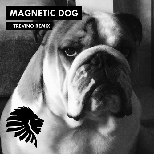 image cover: Alan Fitzpatrick - Magnetic Dog (INCL. Trevino Remix) / We Are The Brave
