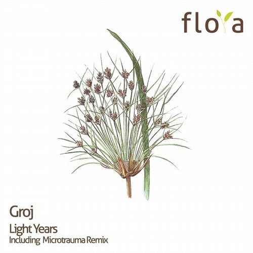 image cover: Groj - Light Years (Incl. Microtrauma Remix) / flora