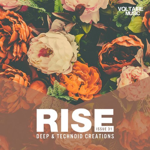 image cover: VA - Rise - Deep & Technoid Creations Issue 31 / Voltaire Music