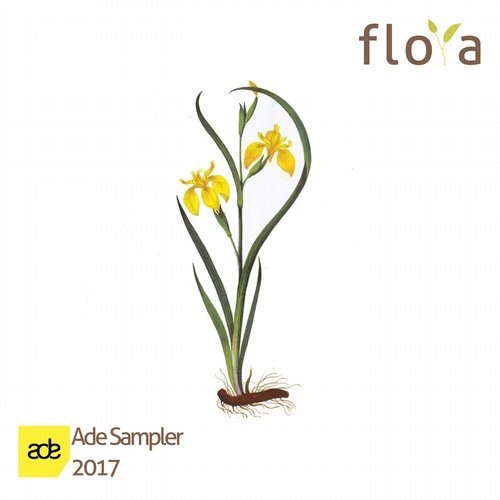 image cover: VA - ADE Sampler / flora