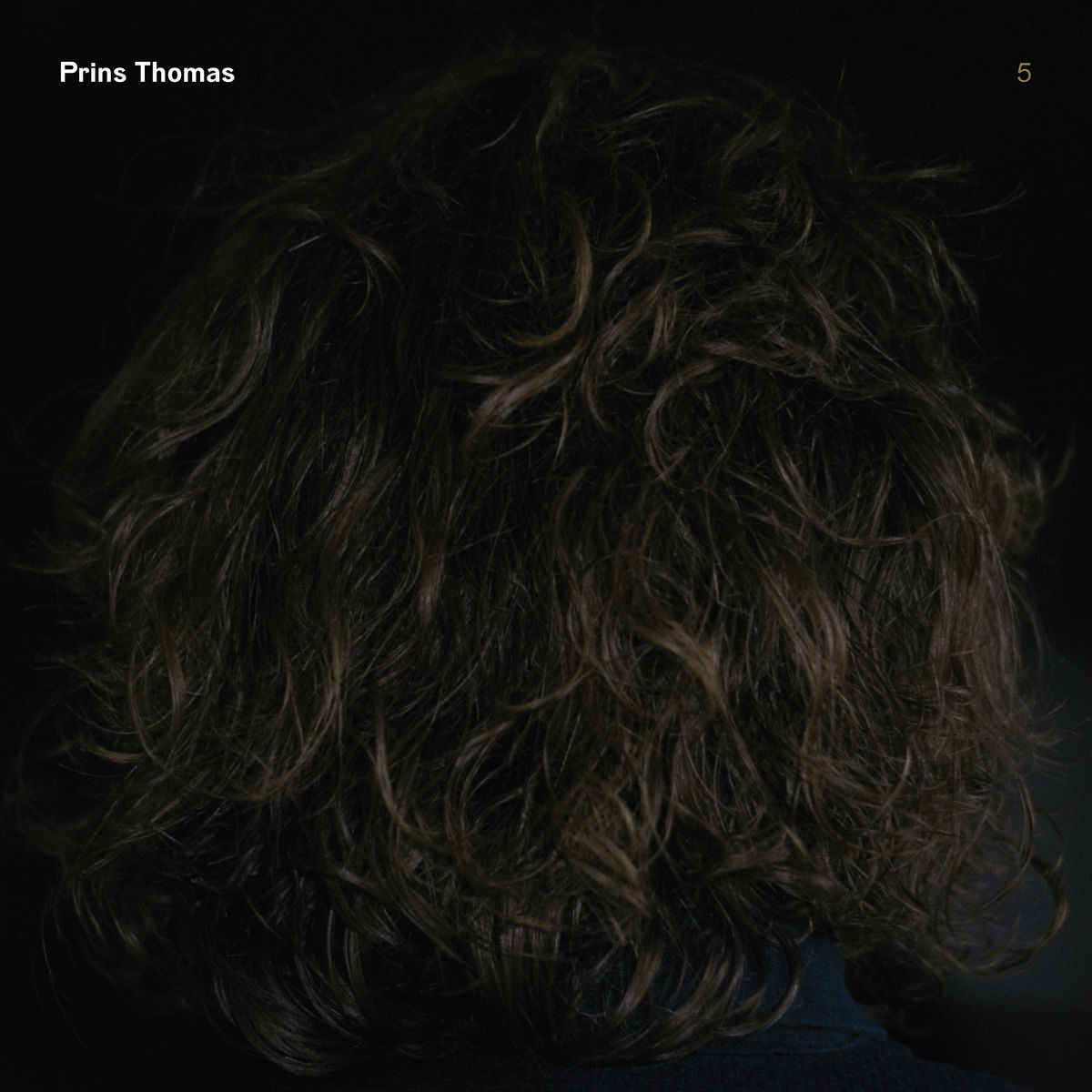 image cover: Prins Thomas - Prins Thomas 5 / Prins Thomas Musikk