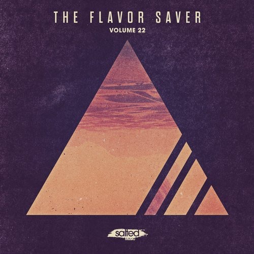 image cover: Disk Nation - The Flavor Saver, Vol. 22 / Salted Music
