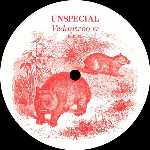 image cover: Unspecial - Vedauwoo EP / Resopal Schallware