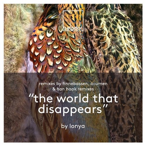 image cover: Lonya - The World That Disappears / Selador