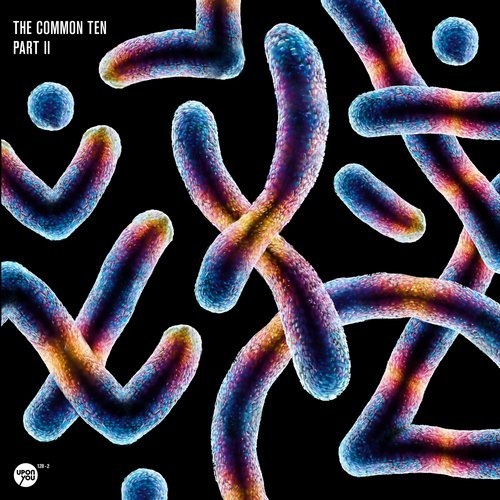 image cover: VA - The Common Ten Part 2 / Upon You Records
