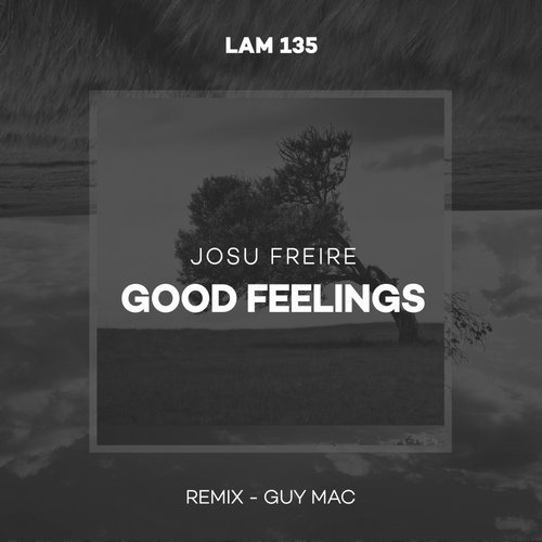 image cover: Josu Freire - Good Feelings / Lemon-aid Music