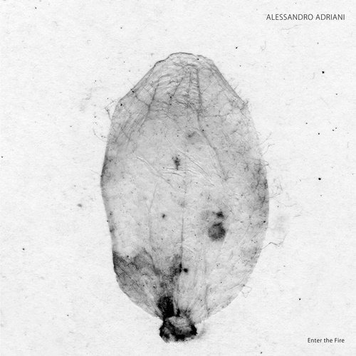 image cover: Alessandro Adriani - Enter the Fire / Stroboscopic Artefacts