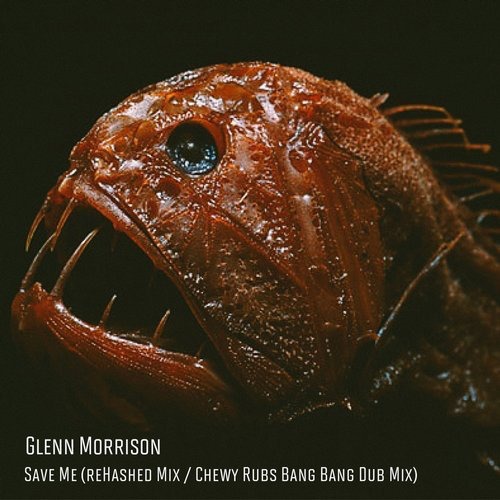 image cover: Glenn Morrison - Save Me / Fall From Grace Records