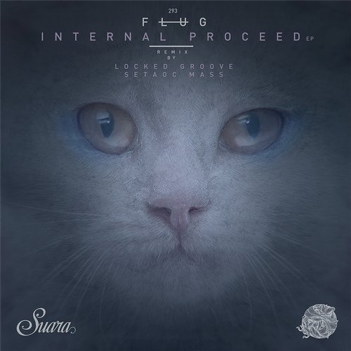 image cover: Flug - Internal Proceed EP / Suara