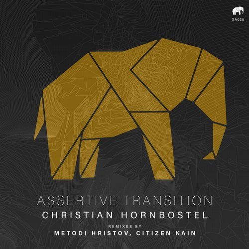 image cover: Christian Hornbostel - Assertive Transition / Set About