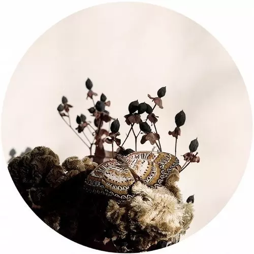 image cover: Ben Buitendijk - Transcended Being EP / Oblique Music