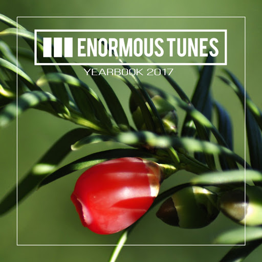 image cover: VA - Enormous Tunes - Yearbook 2017 / Enormous Tunes