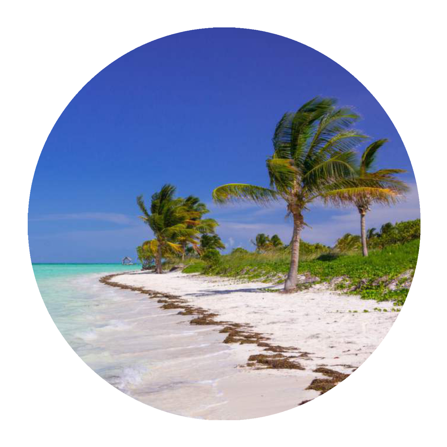 image cover: X-Coast , DJ Boring - Yucatán Channel / Lost Palms