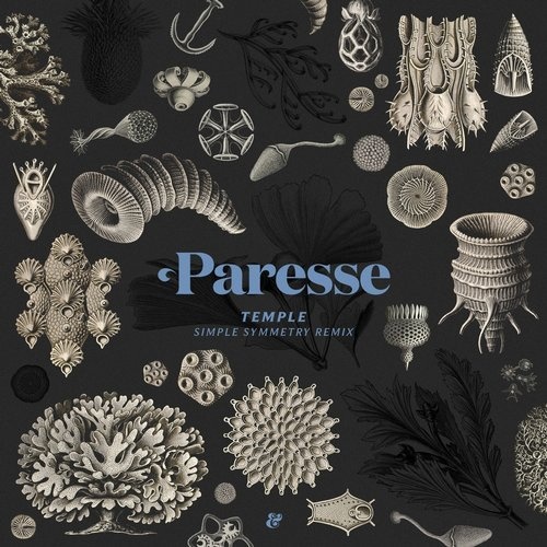 image cover: AIFF: Paresse - Temple (Simple Symmetry Remix) / 541416508733D