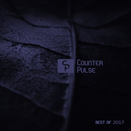image cover: VA - Counter Pulse: Best of 2017 / Counter Pulse
