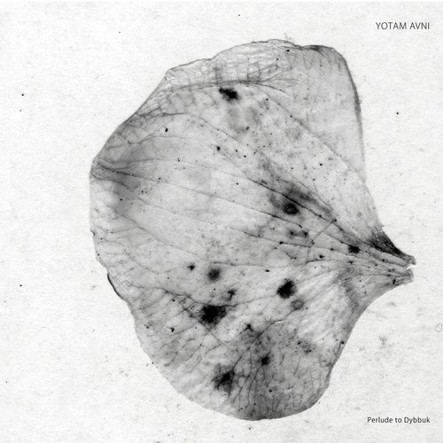 image cover: Yotam Avni - Perlude to Dybbuk / Stroboscopic Artefacts