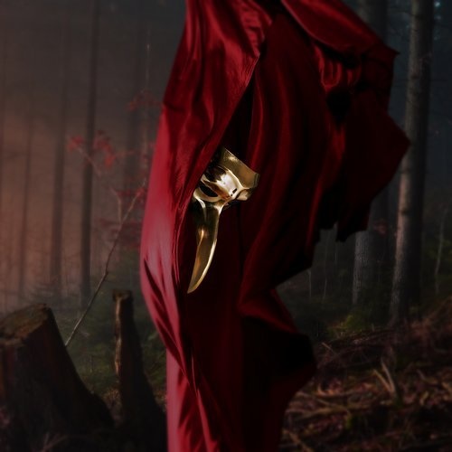 image cover: Claptone - In the Night / Different
