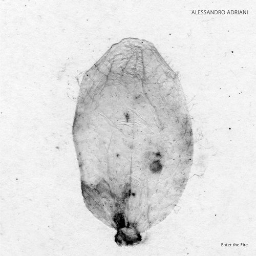 image cover: Alessandro Adriani - Enter the Fire / Stroboscopic Artefacts