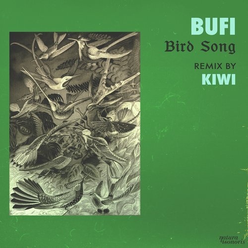 image cover: Bufi - Bird Song / Balance Music