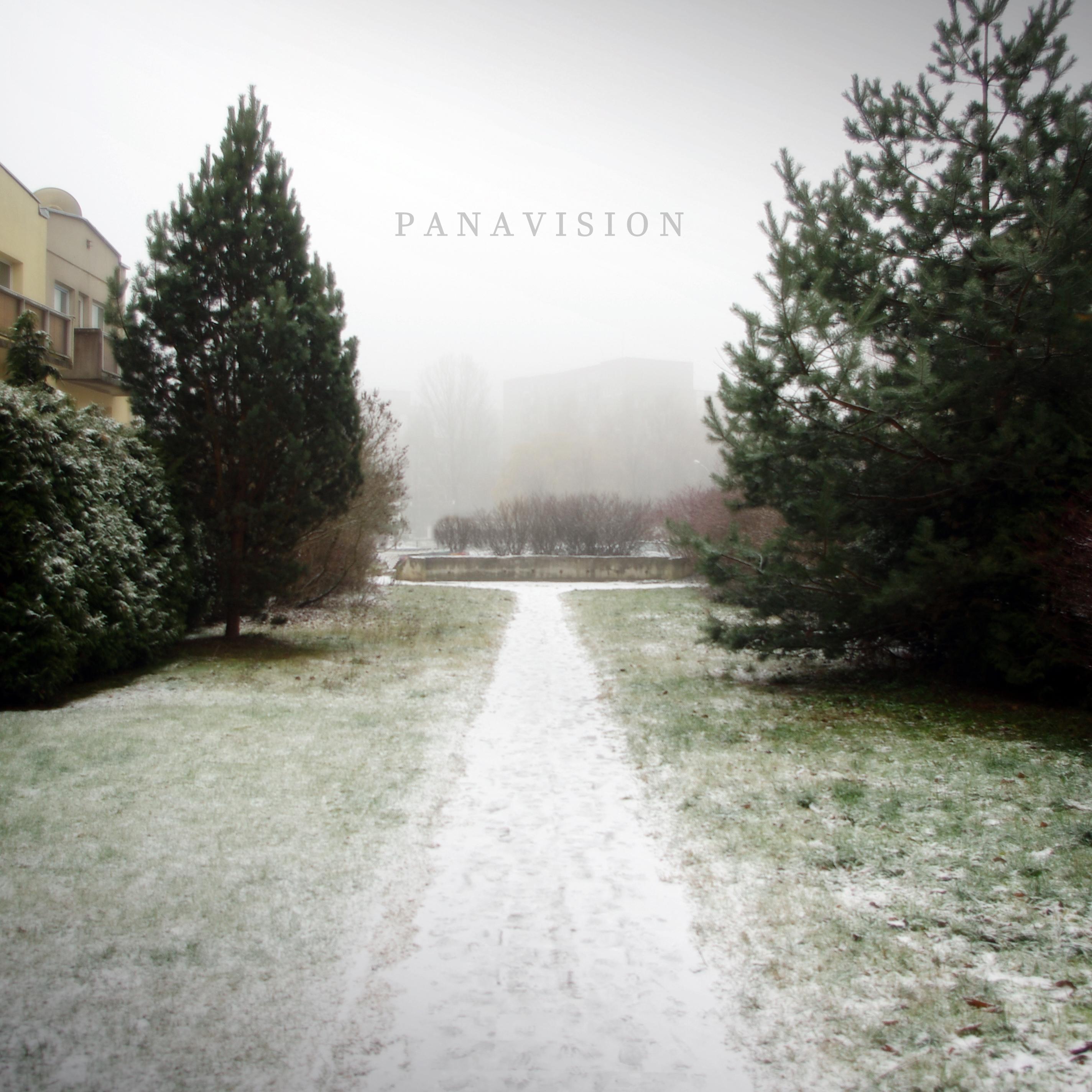 image cover: Sraunus - Panavision / Not On Label (Sraunus Self-released)