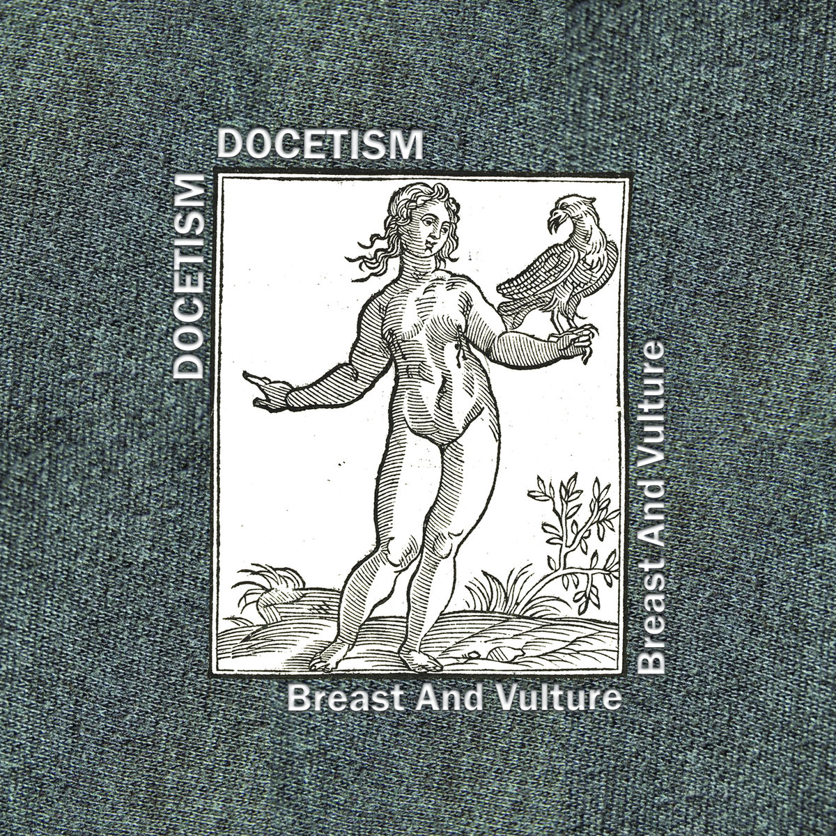 image cover: Docetism - Breast And Vulture / Rohs! Records