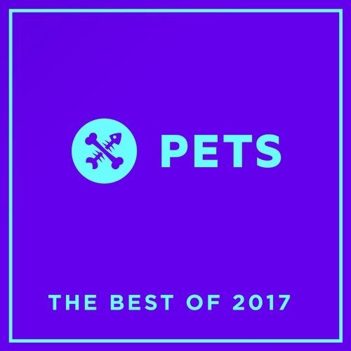 image cover: VA - PETS Recordings The Best Of 2017 / Pets Recordings