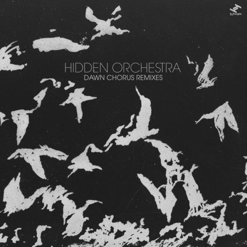 image cover: Hidden Orchestra - Dawn Chorus Remixes / Tru Thoughts