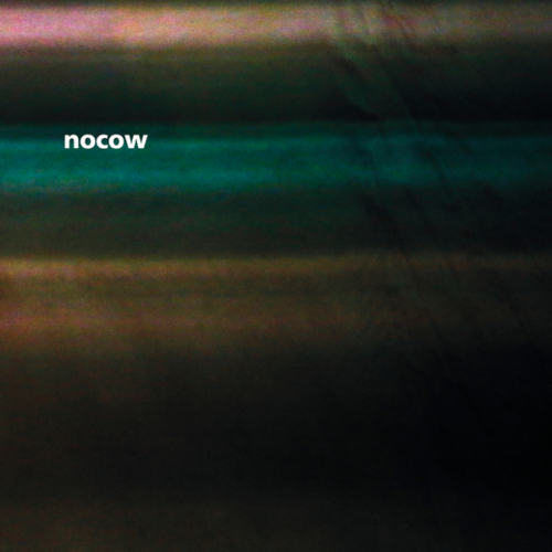 image cover: Nocow - Zemlya / Figure
