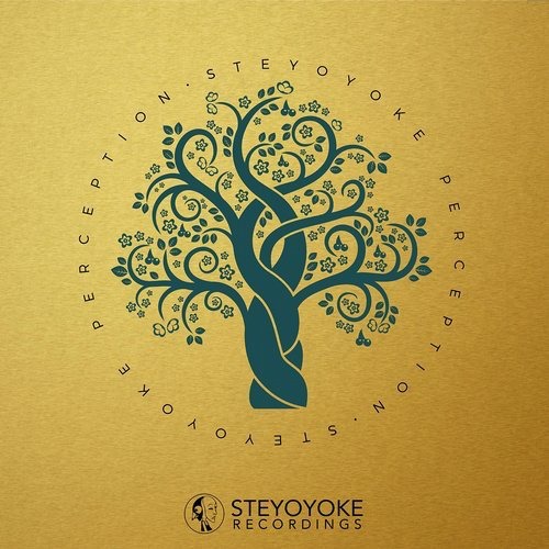 image cover: VA - Steyoyoke Perception, Vol. 02 / Steyoyoke