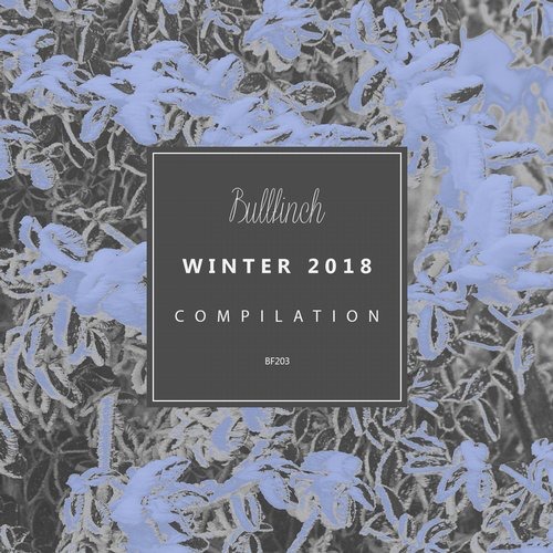 image cover: VA - Bullfinch Winter 2018 / Bullfinch