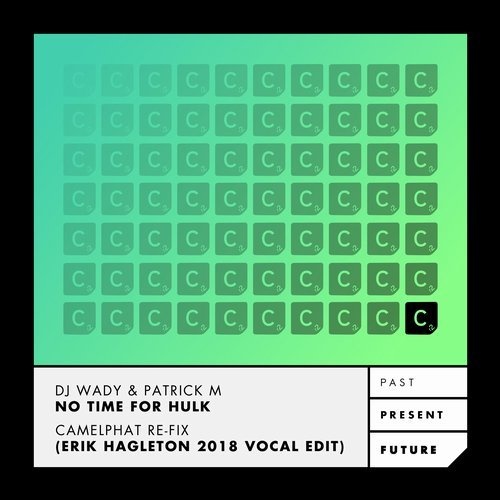 image cover: DJ Wady, Patrick M - No Time For Hulk - Camelphat Re-Fix - (Erik Hagleton 2018 Vocal Edit) / Cr2 Records