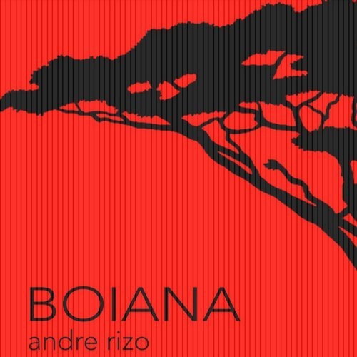 image cover: Andre Rizo - Boiana / ARMProduction