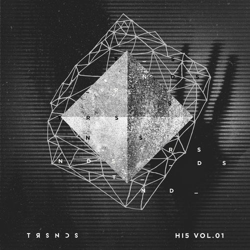 image cover: VA - TSM High 5 Vol 01 / Truesounds Music