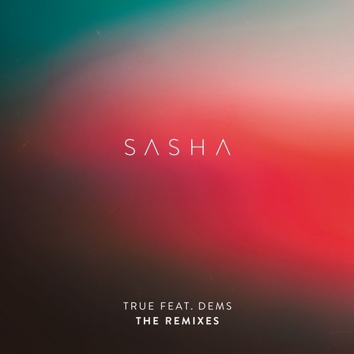 image cover: Sasha, Dems - The Remixes / ALND5101R