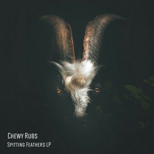 image cover: Chewy Rubs - Spitting Feathers LP / FFGR030