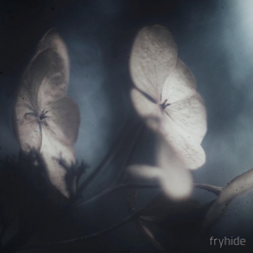 image cover: Groj - The Crossing (Incl. HOSH Remix) / fryhide