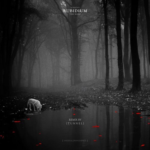 image cover: Rubidium, Tunnel - The Wolf / WBM038D