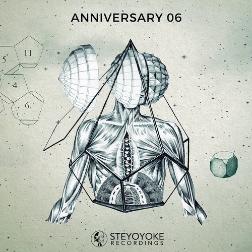 image cover: VA - Steyoyoke Anniversary, Vol. 6 / Steyoyoke -