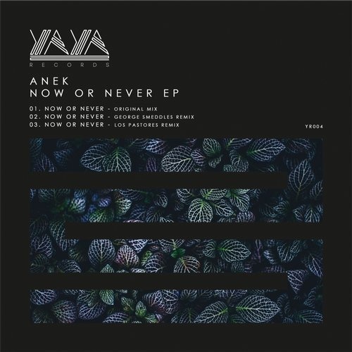 image cover: Anek - Now Or Never EP / YAYA Records